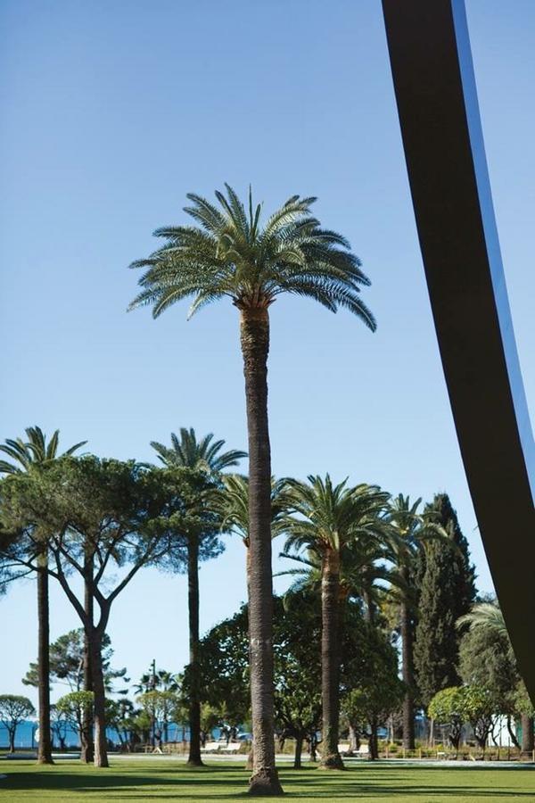 Centrale 2 - F4 Spacieux Et Confortable Au Centre Du Vieux-Nice 아파트 외부 사진
